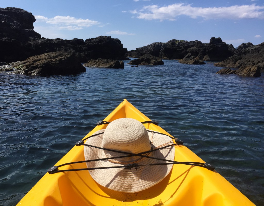 Exploring the coast